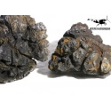 Black Scale Stone - Taille M -  Jusqu'à 1100g