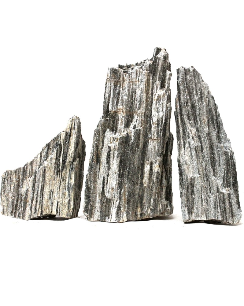 Wood Poit Rocks Glimmer Wood Rock Rochers pour aquascaping