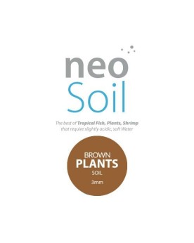 Neo Soil Compact Plant