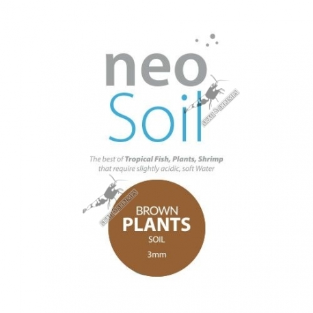 Neo Soil Compact Plant