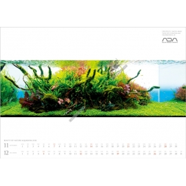 Ada NA-Calendar 2021