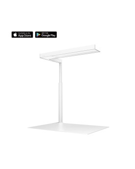 ONF Flat Nano+ White -  Stand Incl.