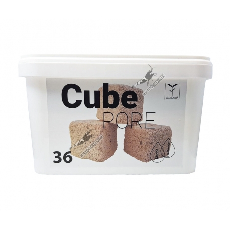 Qualdrop - Cube Pore 36Pcs