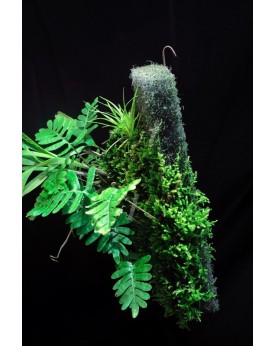 Epiweb Panel 25x12x2cm