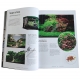 Dennerle - Guide des Plantes D'aquarium 2020-2021 Francais