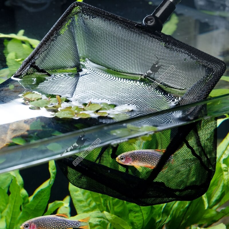 AquaLighter Slim 60cm - Éclairage LED pour aquarium Eau Douce