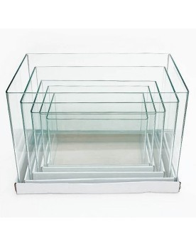 Ista Glass Tank Curved 40x22x27cm