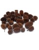 Casuarina Cones - 30g