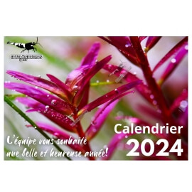 Calendrier Skaii and Shrimps 2024
