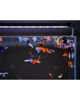 Twinstar B-line II 90cm LED RGB-W controleur inclus