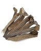 Feuilles de Bananier- Morceaux - 10g pcs