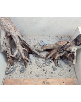 Hardscape Sur Photo - HS10 Hardscape sur photo HS-10 Composition de...
