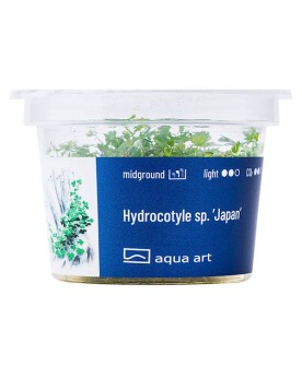 Hydrocotyle sp. Japan - Aqua-art L’Hydrocotyle sp. "Japan" est une ...