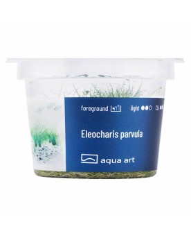 Eleocharis parvula - Aqua-art L'Eleocharis Parvula est une plante a...