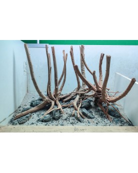 Hardscape Sur Photo - HS12 Hardscape sur photo HS-12. Composition d...