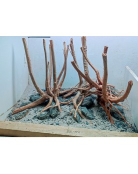 Hardscape Sur Photo - HS12 Hardscape sur photo HS-12. Composition d...