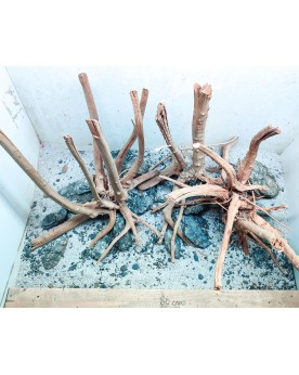Hardscape Sur Photo - HS12 Hardscape sur photo HS-12. Composition d...