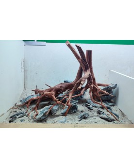 Hardscape Sur Photo - HS8 Hardscape sur photo HS-8. Composition Dar...
