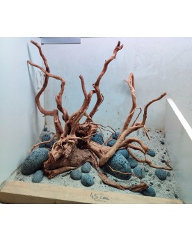 Hardscape Sur Photo - HS11 Hardscape sur photo HS-11 Composition de...