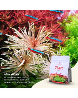 The 2HR Aquarist - APT Feast (Soil) - 2L 2Hr Aquarist APT Feast est...