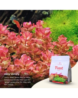 The 2HR Aquarist - APT Feast (Soil) - 5L 2Hr Aquarist APT Feast est...