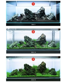 Neo Soil Plant - No co2 - 3L  AQUARIO NEO Soil NO CO2 est un substr...