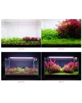 Neo Soil Plant - No Co2 Rich - 8L  AQUARIO NEO Soil NO CO2 RICH est...