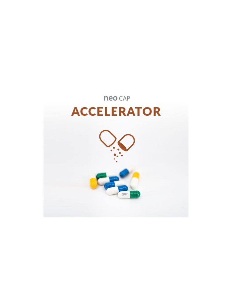 Neo Cap Accelerator - 20 Capsules (stimule la ponte, l'appétit des ... Neo Cap Accelerator - 20 Capsules (stimule la ponte, l'appétit des ...