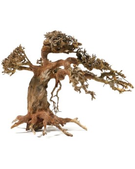 Bonsai M - 25x30cm  Véritable Bonsaï pour Aquarium. Assemblage de r...