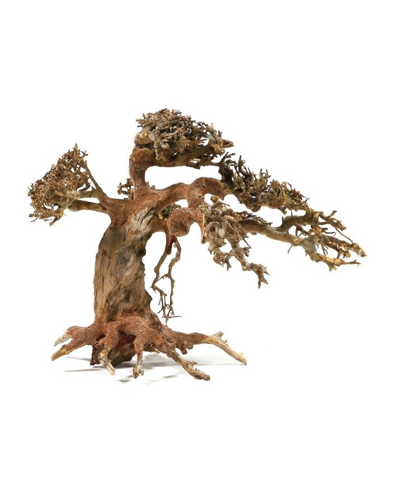 Bonsai M - 25x30cm Véritable Bonsaï pour Aquarium. Assemblage de r... Bonsai M - 25x30cm Véritable Bonsaï pour Aquarium. Assemblage de r...