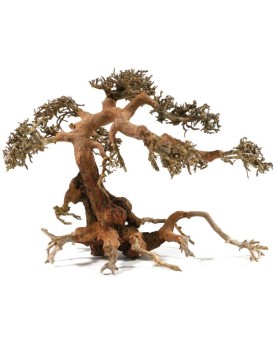 Bonsai L- 30x40cm  Véritable Bonsaï pour Aquarium. Assemblage de ra...
