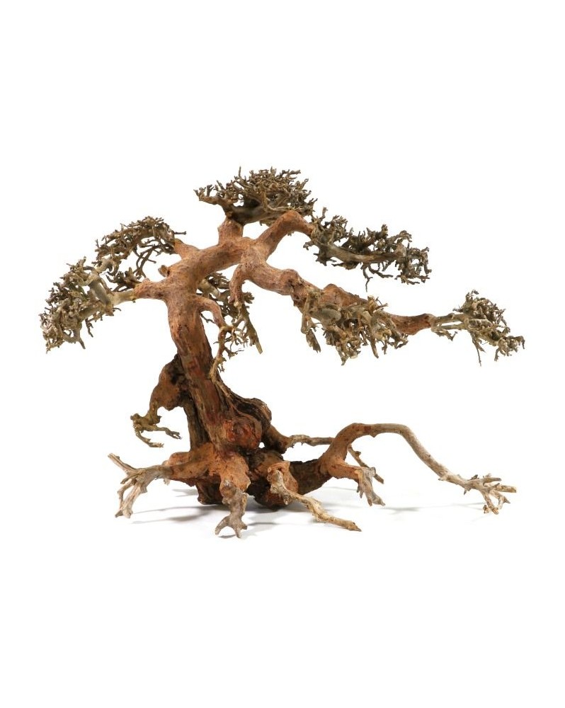 Bonsai L- 30x40cm Véritable Bonsaï pour Aquarium. Assemblage de ra... Bonsai L- 30x40cm Véritable Bonsaï pour Aquarium. Assemblage de ra...