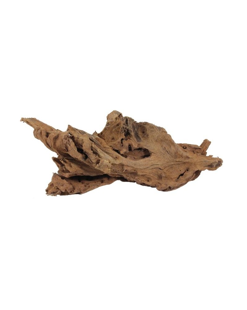 Yati Wood S - 15-25cm  Yati Wood, racine idéale pour y attacher des...