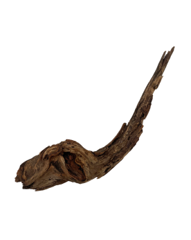 Racine China DriftWood 30-45cm  Racines China Driftwood. Bois sombr...