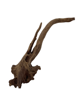 Racine China DriftWood 40-60cm  Racines China Driftwood. Bois sombr...