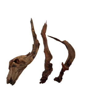 Racine China DriftWood 40-60cm  Racines China Driftwood. Bois sombr...