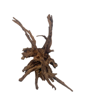 Racine Black Slim Wood - 25-35cm  Racines Black Slim Wood. Belles r...