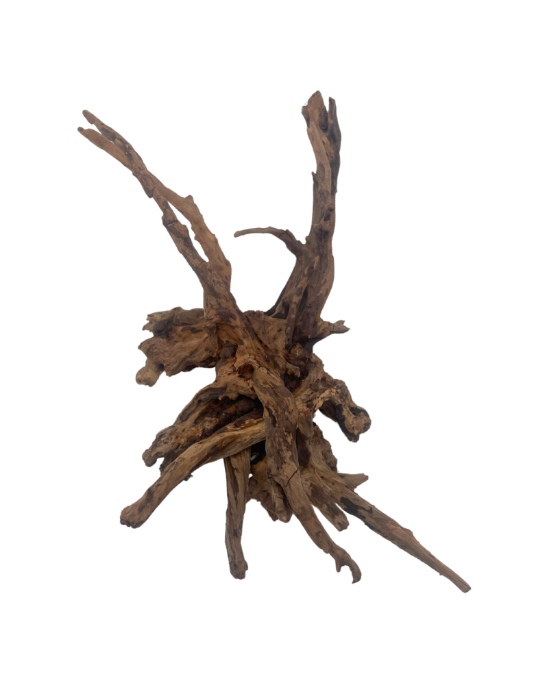 Racine Black Slim Wood - 25-35cm Racines Black Slim Wood. Belles r... Racine Black Slim Wood - 25-35cm Racines Black Slim Wood. Belles r...