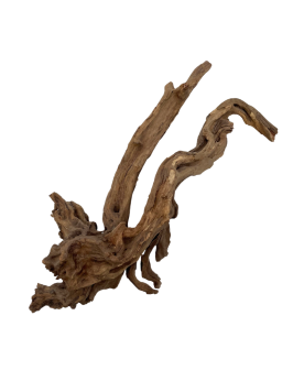 Racine Black Slim Wood - 35-50cm  Racines Black Slim Wood. Belles r...
