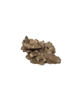 Sand Stone - Taille S - 100 à 300g Les Sand stones sont de très bel...