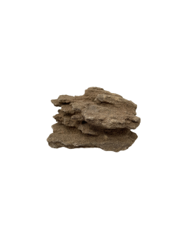 Sand Stone - Taille M - 400 à 800g Les Sand stones sont de très bel...
