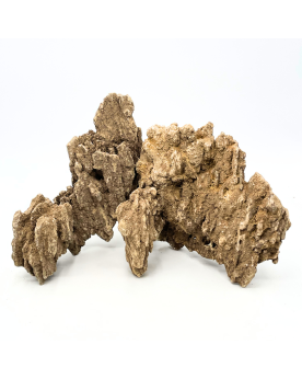 Sand Stone - Taille L - 800 à 1200g Les Sand stones sont de très be...
