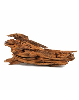 Yati Wood M - 25-35cm  Yati Wood, racine idéale pour y attacher des...