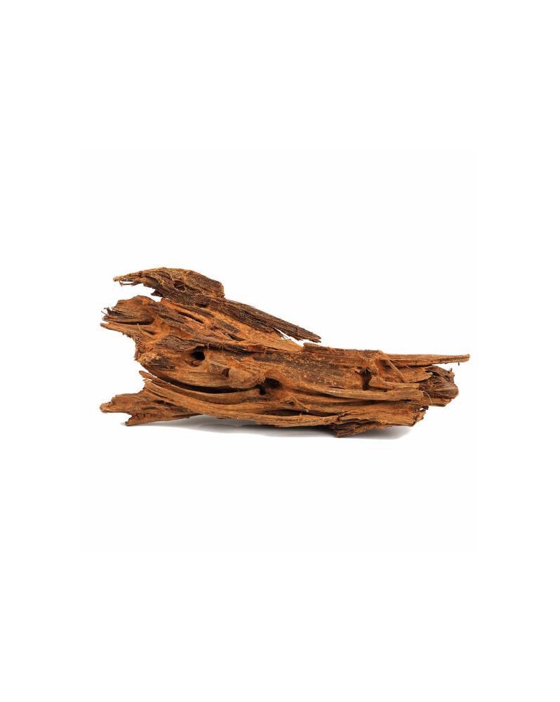 Yati Wood M - 25-35cm Yati Wood, racine idéale pour y attacher des... Yati Wood M - 25-35cm Yati Wood, racine idéale pour y attacher des...