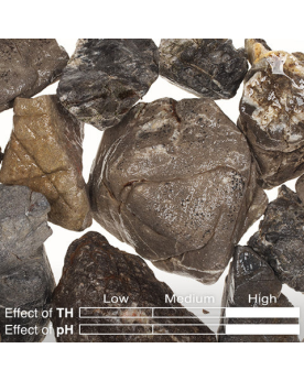 ADA Kumu ST-04 - Lichen Stone 400g La pierre  lichen ADA KUMU de la...