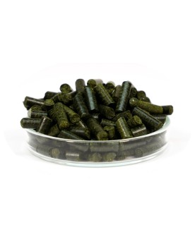 Garnelen4You Neo Algen Sticks - 30g Bâtonnets d'algues GARNELEN4YOU...