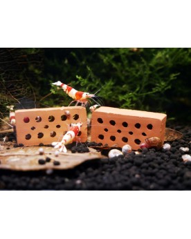 Garnelen4You Mini Briques - 25Pcs Tube en céramique imitant le cact...
