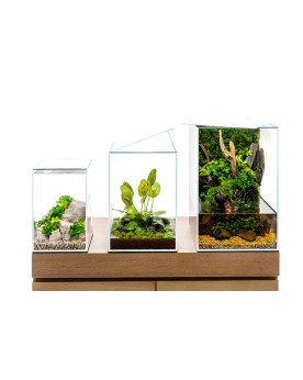 UNS - Prism 20TM with Lid - 20x20x30cm - 5mm Aquarium UNS 20TM, for...
