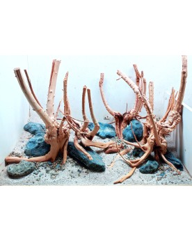 Hardscape Sur Photo - HS3 Hardscape HS-3 Taille: base 60x30cm idéal...