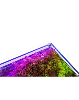 UNS - ATMOS Backight 30C - 30x29cm Le fond lumineux Atmos d'Ultum N...